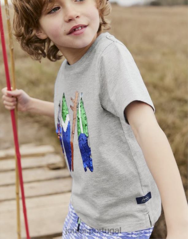 camiseta manga curta archie 5-12 anos Rapazes pranchas de surf cinza Joules vestuário 2X26V368