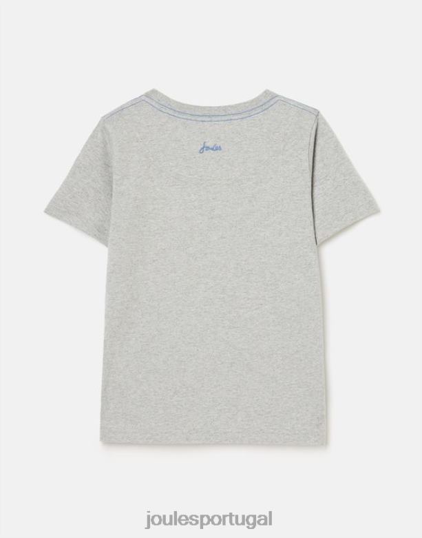 camiseta manga curta archie 5-12 anos Rapazes pranchas de surf cinza Joules vestuário 2X26V368